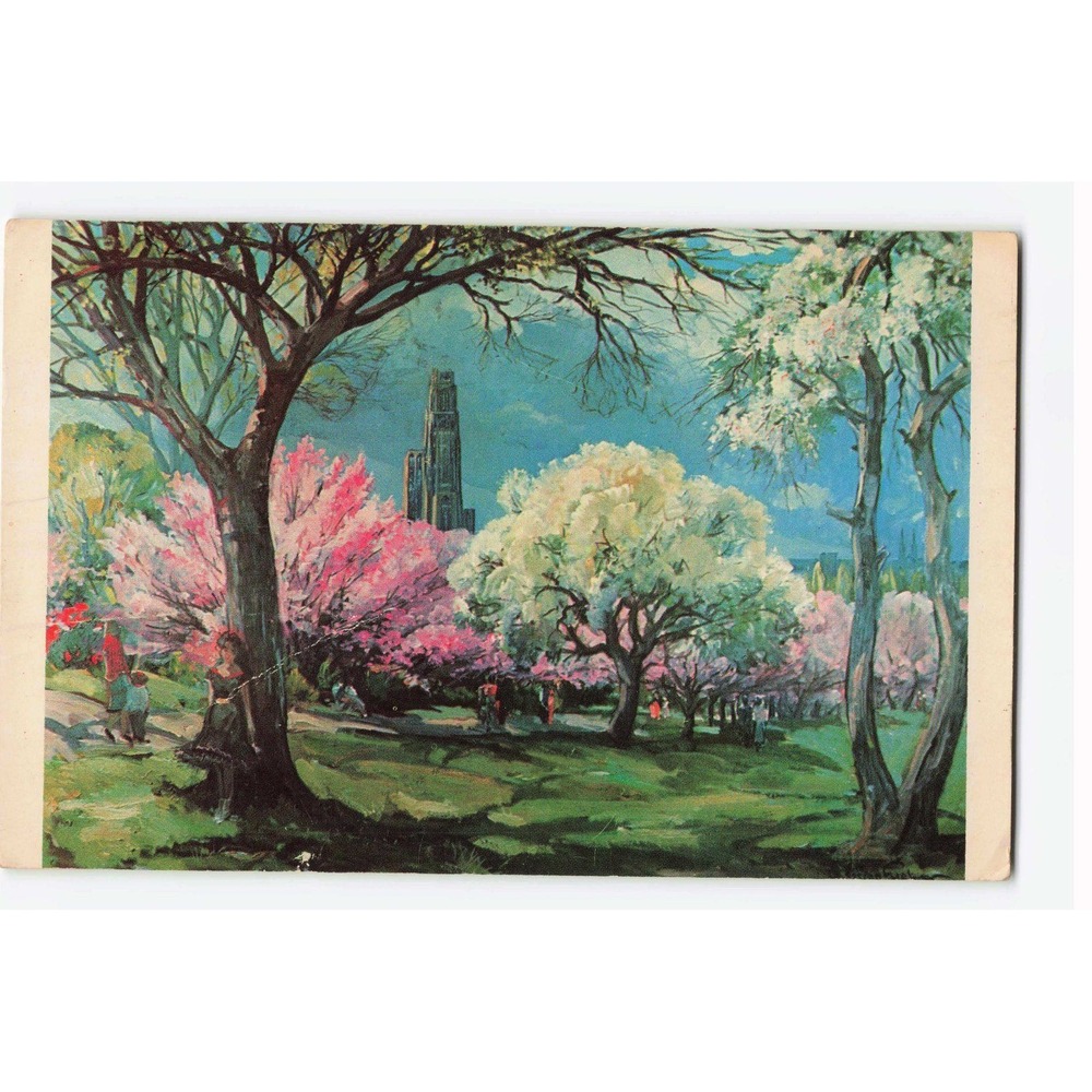 Vintage 1957 Pittsburgh PA Cherry Blossom Time Cathedral of Learning Postcard